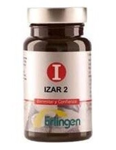 Izar 2A 60Comp. de Erlingen