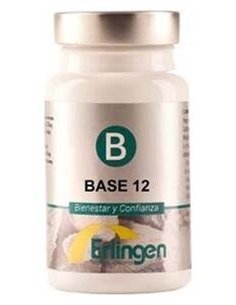 Base 12 60Comp. de Erlingen