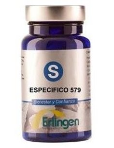 Especifico 579 60Comp. de Erlingen