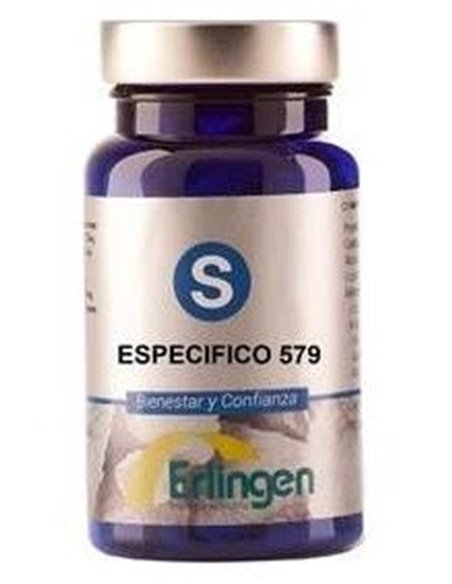 Especifico 579 60Comp. de Erlingen