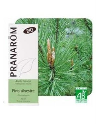 Pino Silvestre Aceite Esencial Bio 10Ml. de Terpenic
