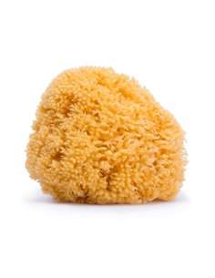 Esponja Natural Grande de Suavinex 2