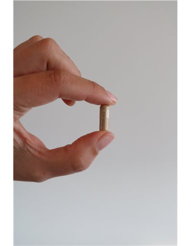 Femmeup Endo 90Ccap. de Femmeup