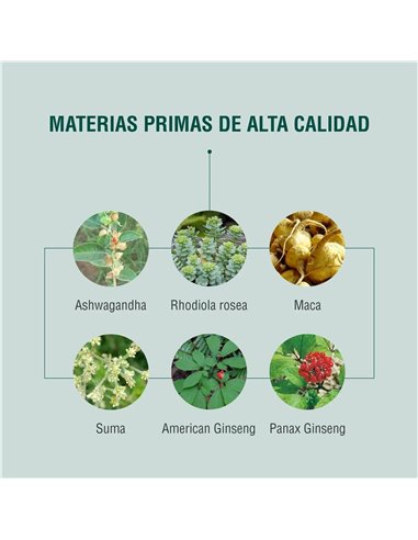 Energyheal 90Cap. de Adaptoheal