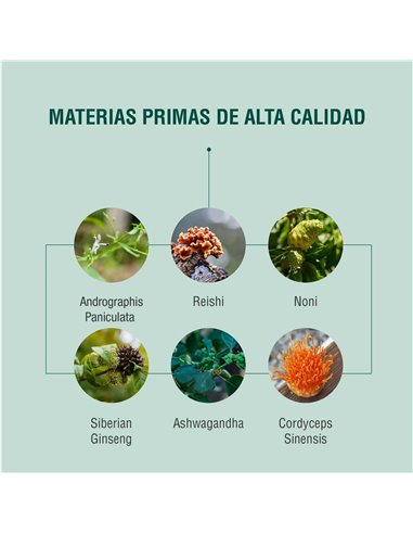 Immodulator 90 Cap de Adaptoheal