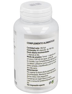 Gaba 550Mg. 90Cap. de Besibz 2