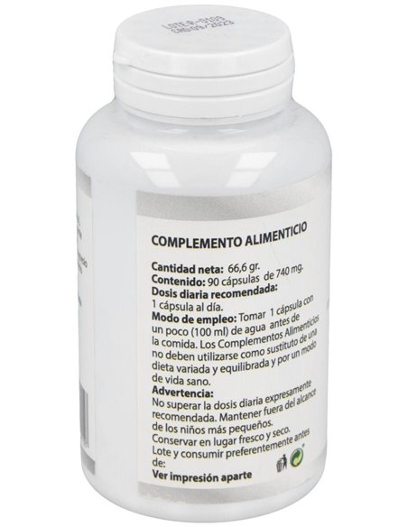 Gaba 550Mg. 90Cap. de Besibz