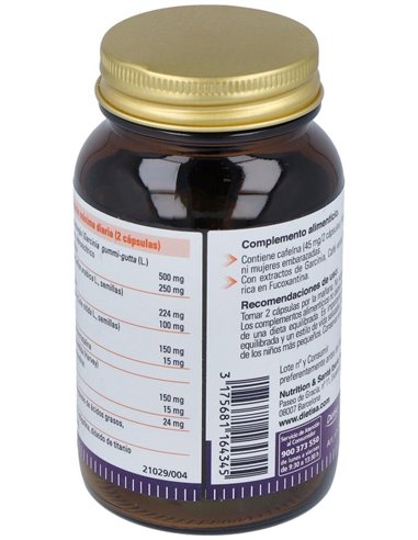 Biform Mega Burn 60Cap. de Dietisa (Dielisa)