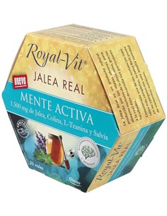 Jalea Real Royal Vit Mente Activa 20Viales de Dietisa (Dielisa) 2