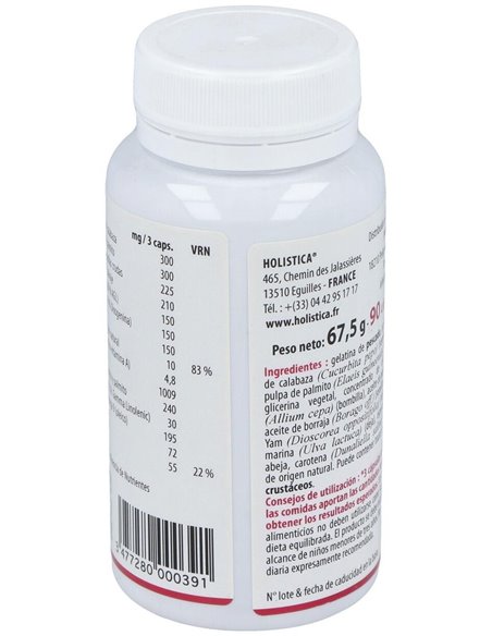 Androlistica 90Cap. de Holistica