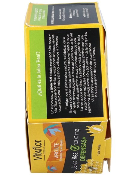 Vitaflor Defensas Echinacea 20Viales de Vitaflor