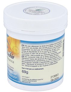 Bambu Tabashir 200Cap. de Fenioux 2