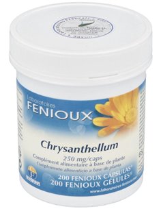 Chrysantellum Americanum 200Cap. de Fenioux 2
