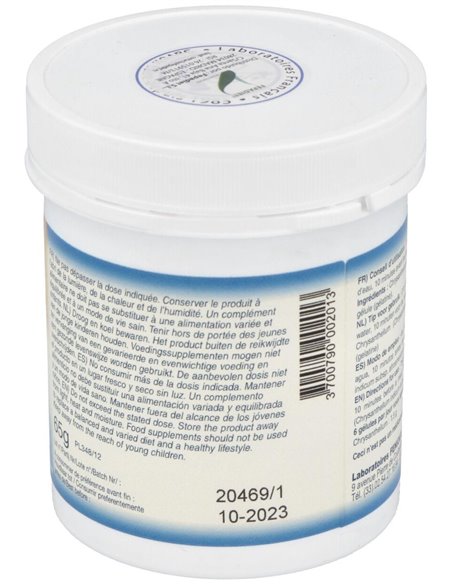 Chrysantellum Americanum 200Cap. de Fenioux