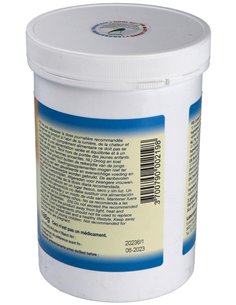 Bambu Tabasir 540Cap. de Fenioux 2