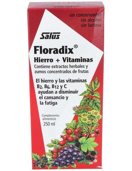 Floradix Hierro 250Ml de Salus