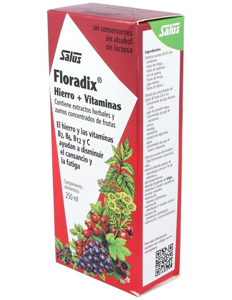 Floradix Hierro 250Ml de Salus