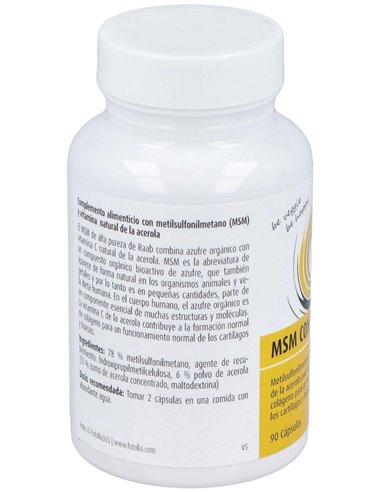 Msm Con Vitamina C 90Cap. Sg Vegan de Raab Vitalfood