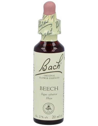 (03) Beech  de Bach