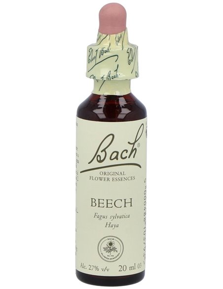 (03) Beech  de Bach