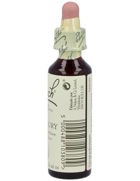 (04) Centaury  de Bach