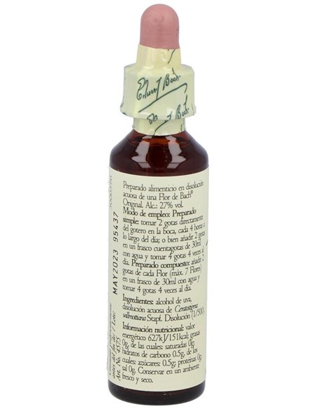 (05) Cerato  de Bach