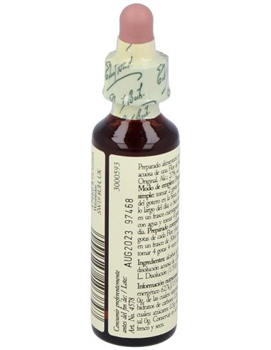 (08) Chicory  de Bach