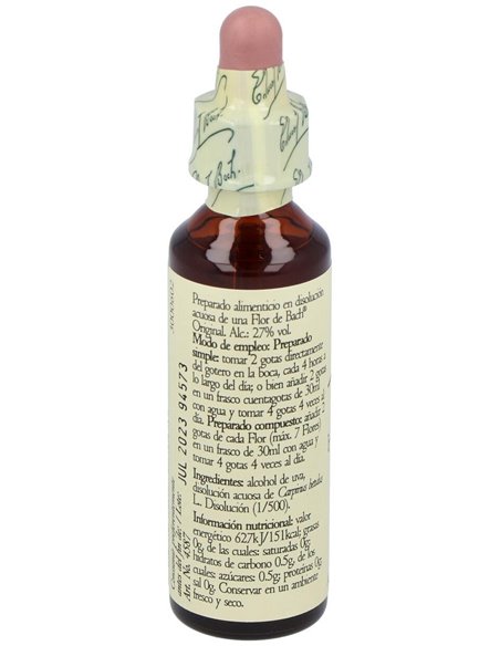 (17) Hornbeam de Bach