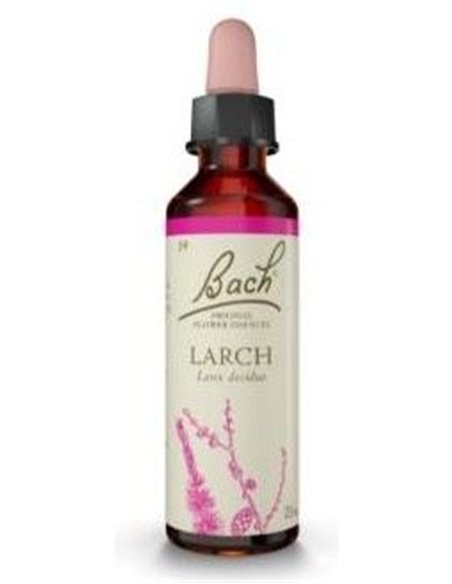 (19) Larch  de Bach