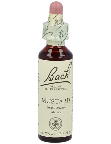 (21) Mustard  de Bach