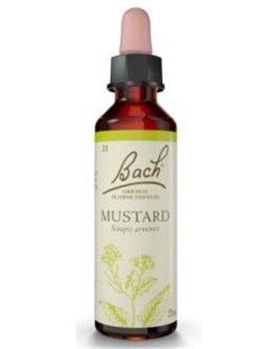 (21) Mustard  de Bach