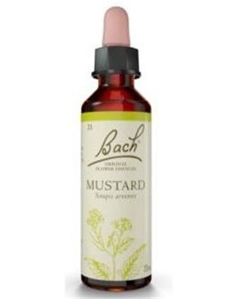 (21) Mustard  de Bach