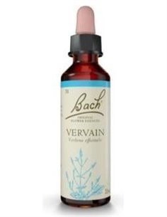 (31) Vervain  de Bach 2