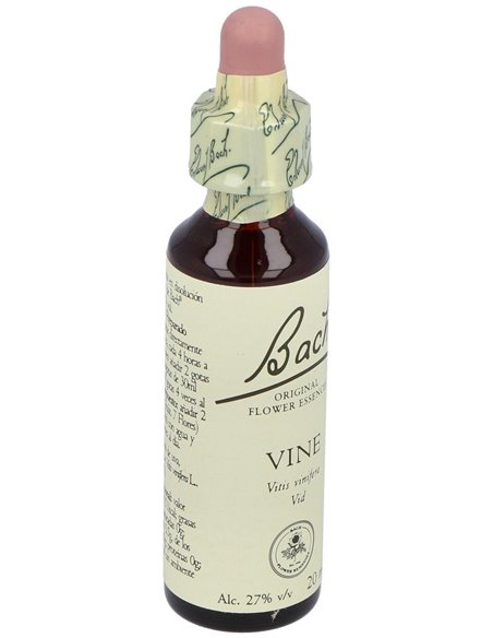 (32) Vine  de Bach