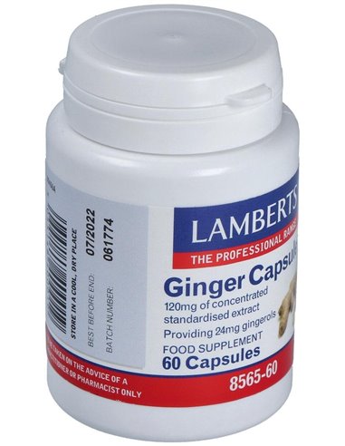 Jengibre 14.400 mg (24 mg de gingeroles) 60 Caps. de Lamberts