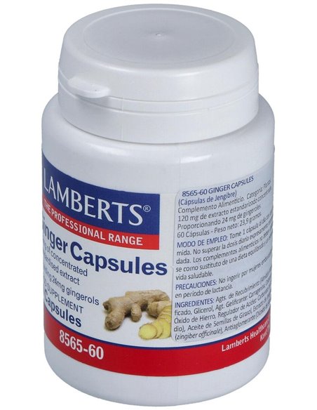 Jengibre 14.400 mg (24 mg de gingeroles) 60 Caps. de Lamberts