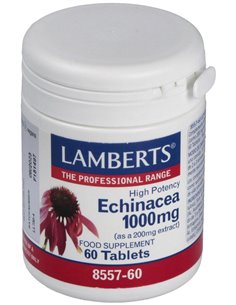 Equinácea 1000 mg con Vitamina C y Zinc de Lamberts 2