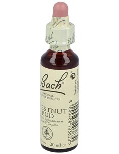 Flores Bach Chestnut Bud Brote Castaño 20Ml. de Flores Bach Original 2