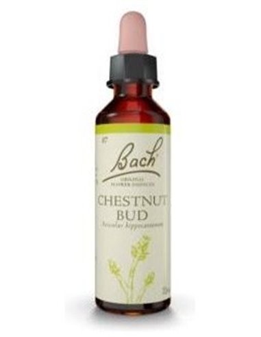 Flores Bach Chestnut Bud Brote Castaño 20Ml. de Flores Bach Original