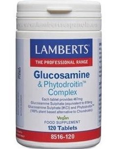 Complejo de Glucosamina y Fitodroitina de Lamberts 2