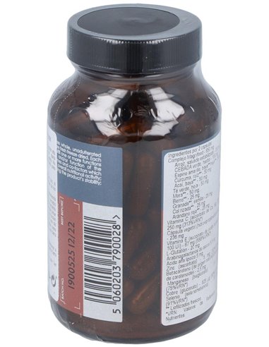 Nutrientes Antioxidantes Complex 100 Vcáps  de Terranova