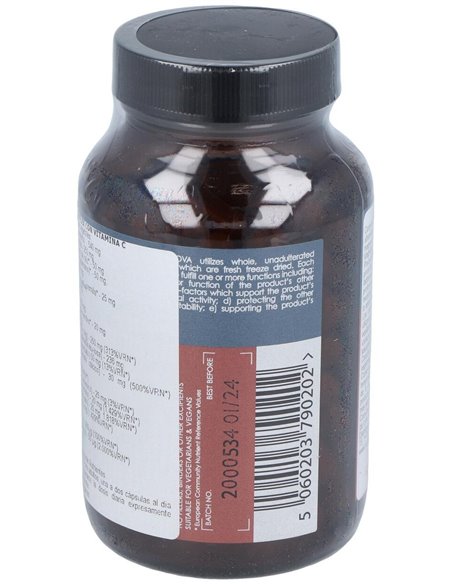 B-Complex Con Vit-C 100Vcap. de Terranova