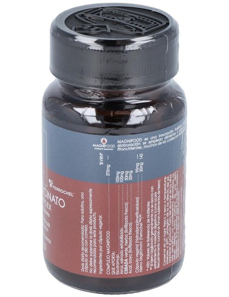 Hierro Bisglicinato 20Mg. 50Vcap. de Terranova