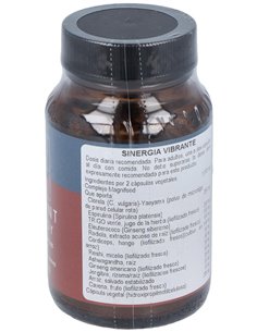 Sinergia Vibrante 50 Vcáps de Terranova 2