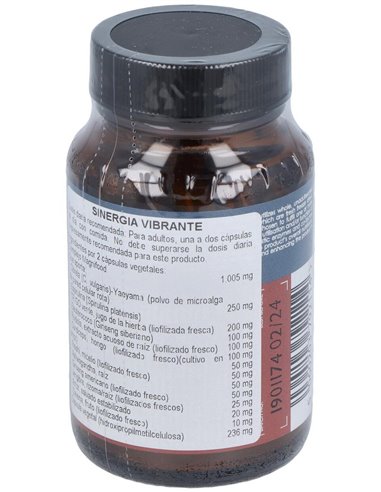 Sinergia Vibrante 50Vcap. de Terranova