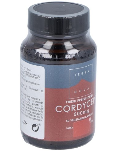 Córdiceps 500 Mg (Cordyceps Sinensis)  50 Vcáps de Terranova