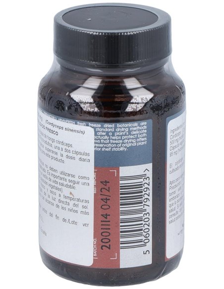 Córdiceps 500 Mg (Cordyceps Sinensis)  50 Vcáps de Terranova