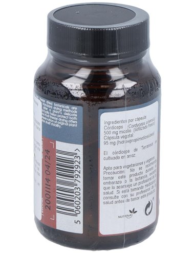 Cordiceps 500Mg. 50Vcap. de Terranova
