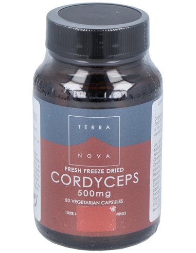 Cordiceps 500Mg. 50Vcap. de Terranova