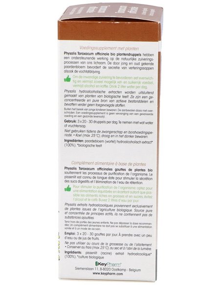 Tintura Taraxacum Officinale (Diente de Leon) de Physalis